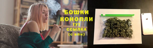 прущие крисы Вяземский