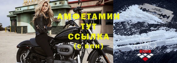 дживик Вязьма
