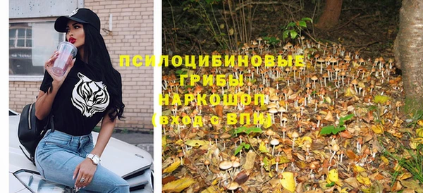 прущие крисы Вяземский