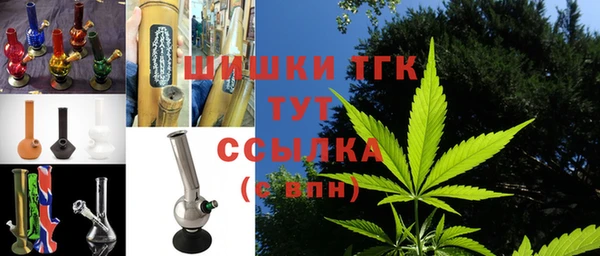 дживик Вязьма